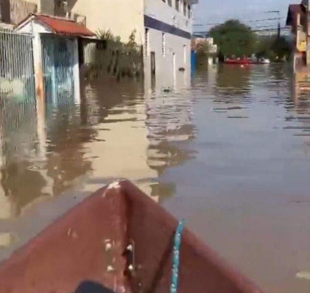 Atletas do remo abrem mão de sonho olímpico por resgate de pessoas no RS