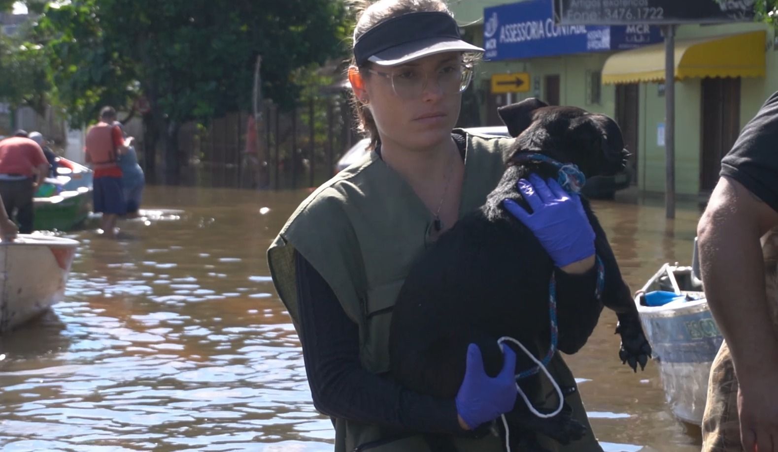 RS lança plataforma para identificar animais e facilitar reencontro com tutores