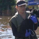 RS lança plataforma para identificar animais e facilitar reencontro com tutores