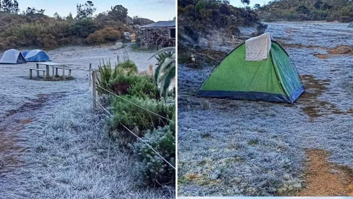 Cidade do Leste de Minas registra 0ºC e geada: 'Cheio de gelo'