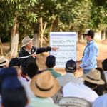 Fundação Procafé lança nova cultivar do grão em Dia de Campo, em Varginha