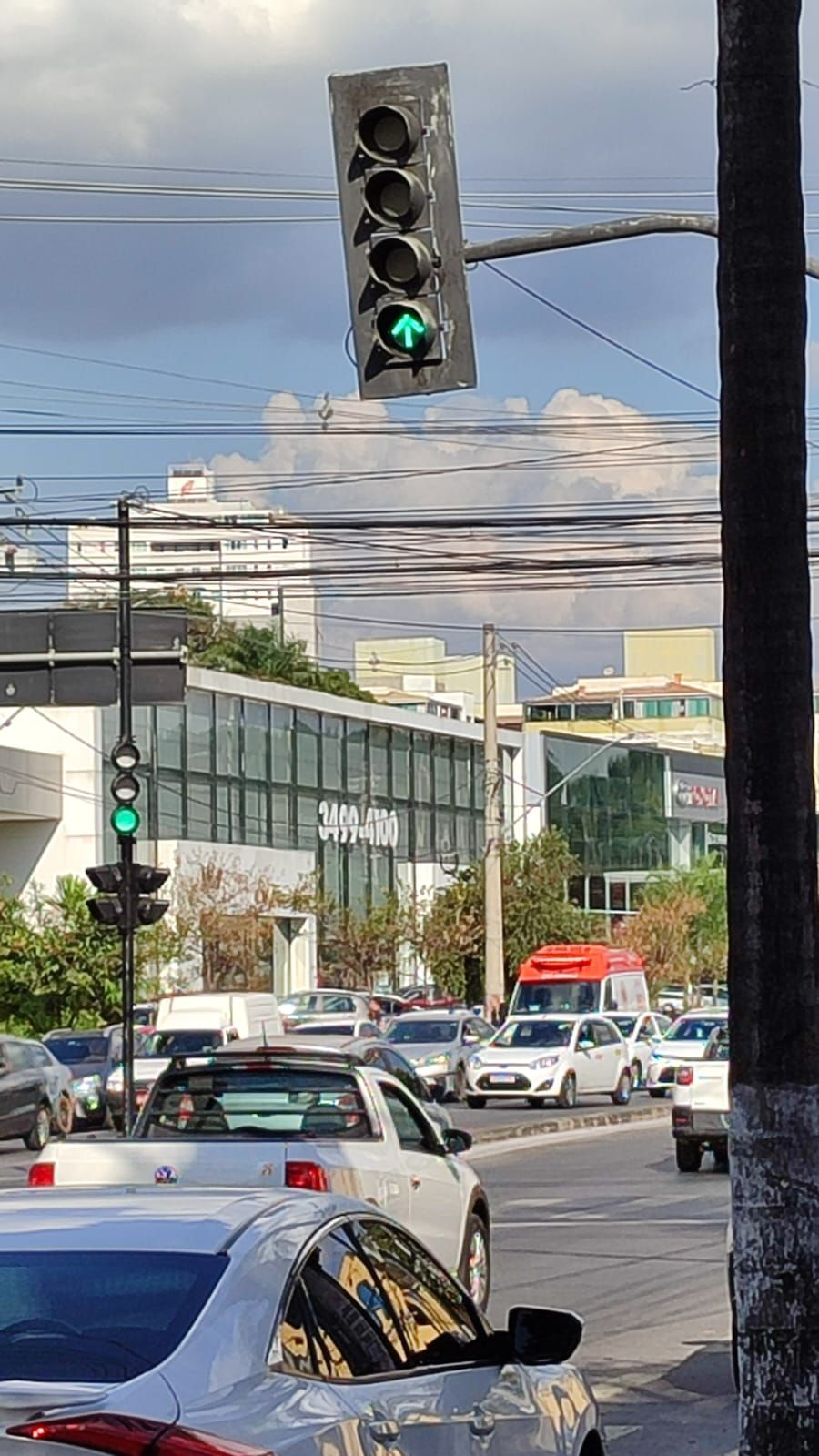 Homem invade concessionária na Pampulha, em BH, e mata funcionário