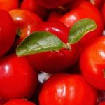 Brasil é líder mundial na exportação de acerola