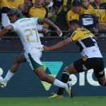 Em jogo apertado, Palmeiras marca no fim e vence Criciúma pelo Brasileirão