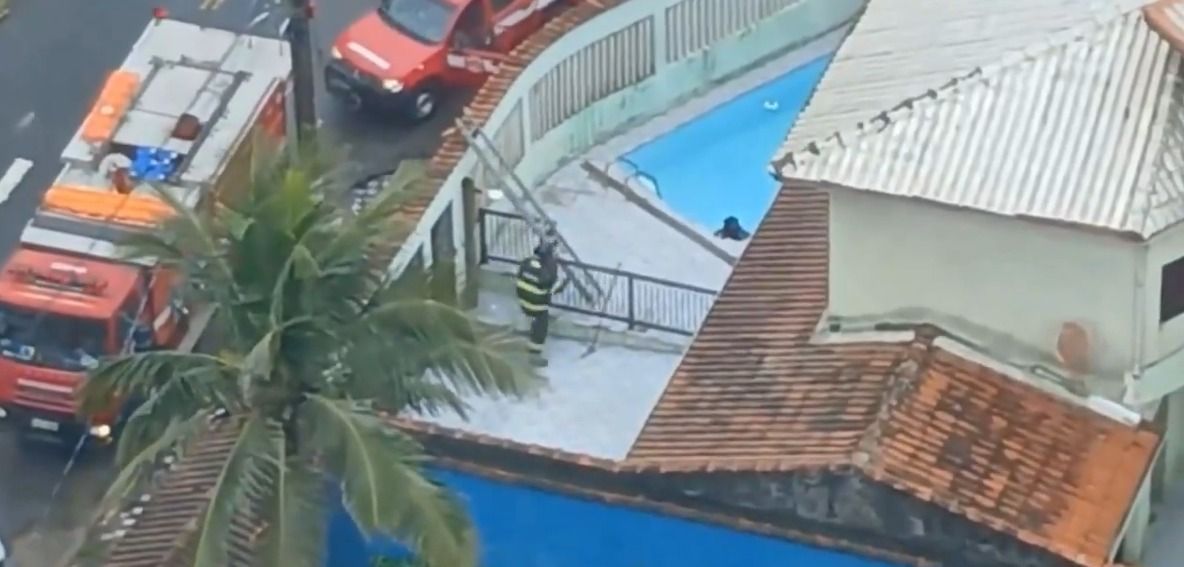 Vídeo: bombeiros de SP resgatam cachorro que estava 'debatendo' em piscina
