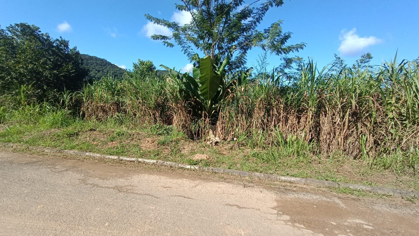 Pai arranca bebê de 1 mês das mãos da mãe e atira filha em barranco no ES; criança não morreu