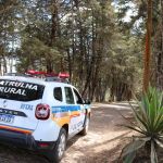 PM apreende armas após homem ameaçar companheira