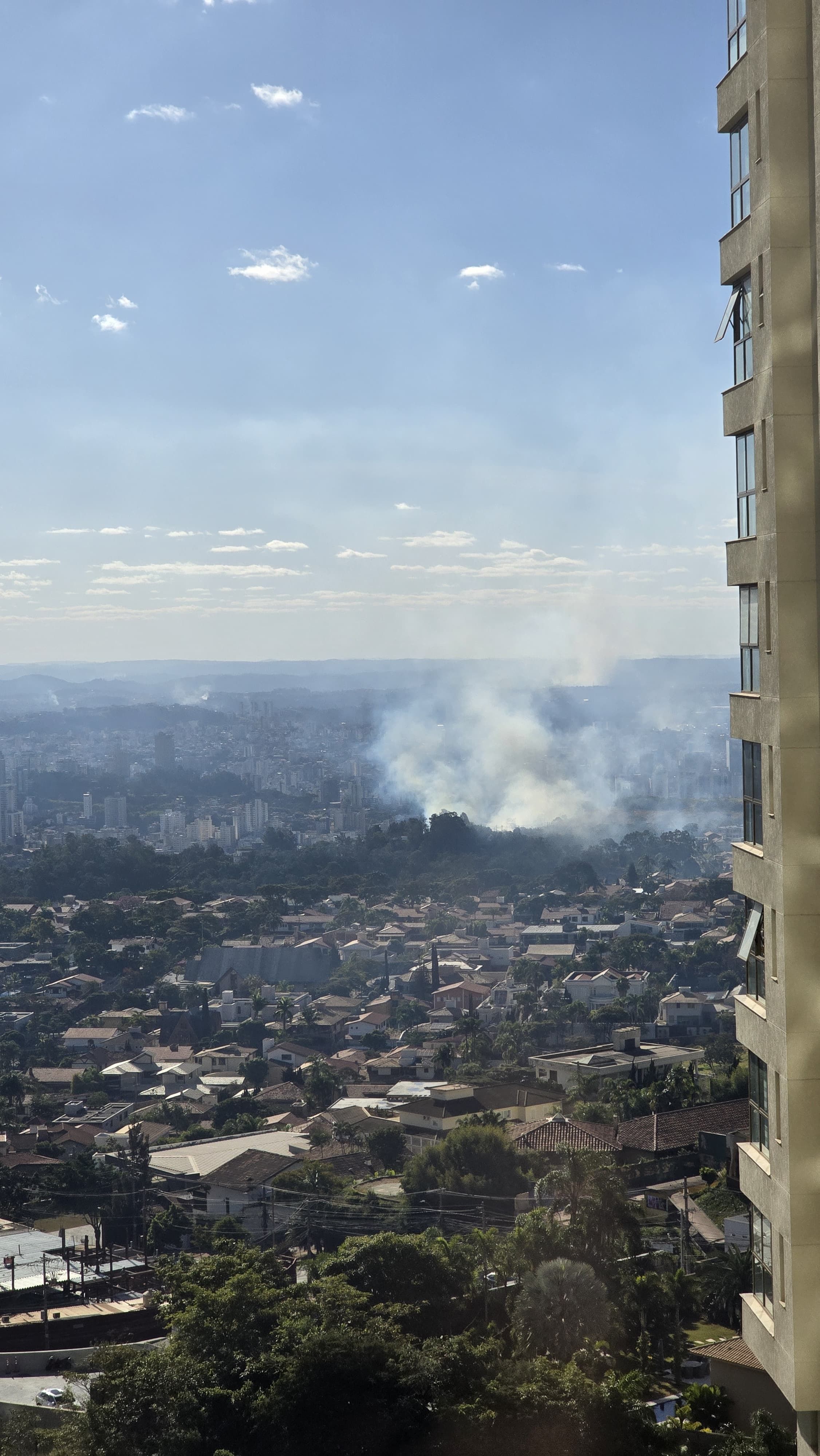 Vídeo: incêndio atinge mata em grande avenida do bairro Belvedere, em BH