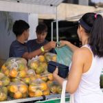 BDMG promove feira com produtos ‘direto da roça’ em região nobre de BH; saiba qual