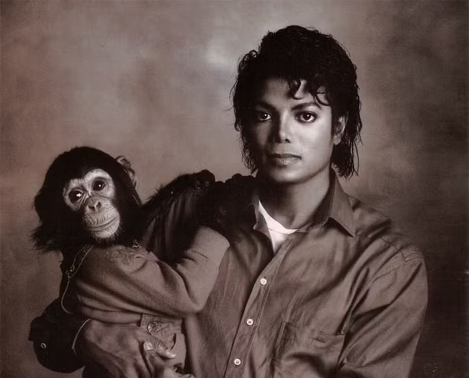 k2180 Michael Jackson / Who Is It 12インチ Chimpanzé de Michael Jackson recebe R$163 mil por ano, além de