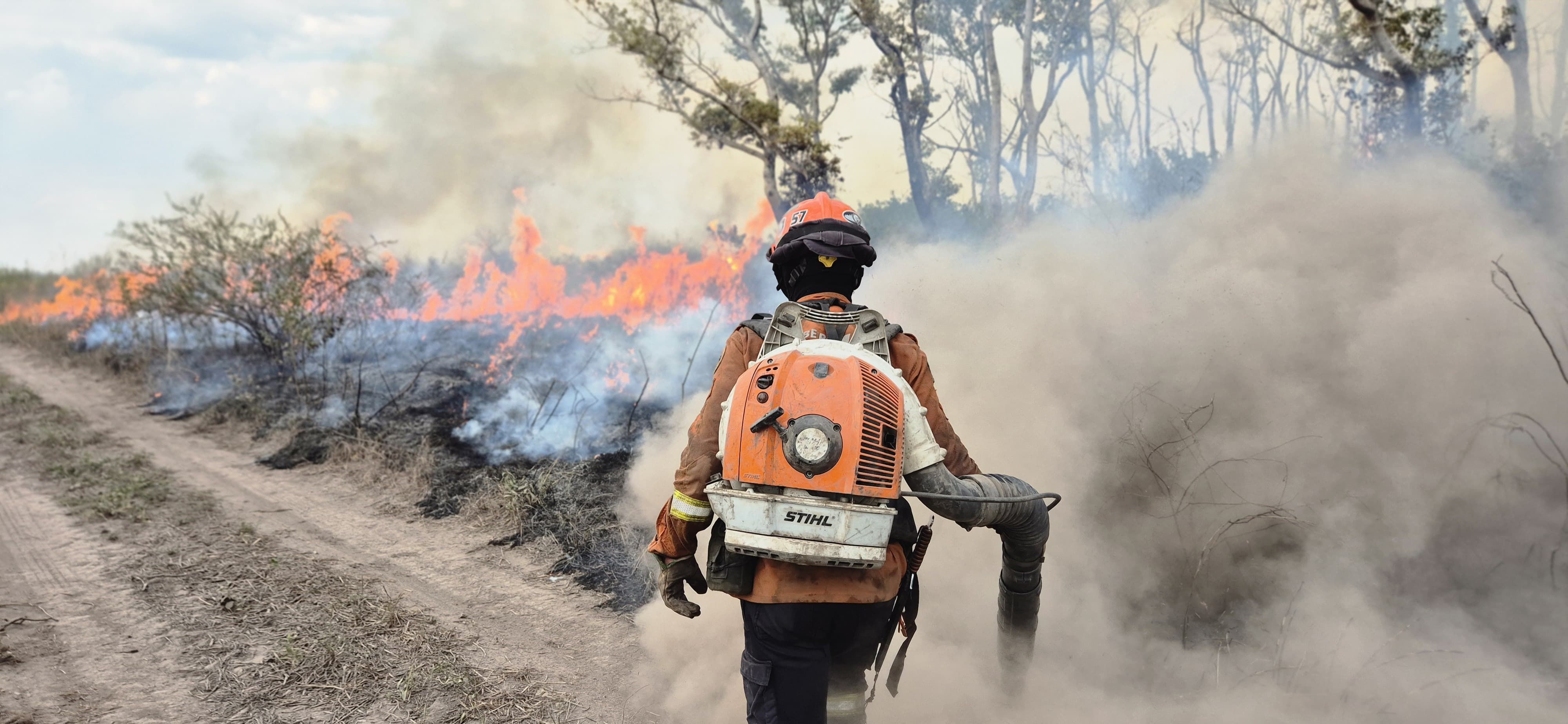 Com aumento das queimadas no Pantanal, equipes do DF e RS ajudarão no combate ao fogo