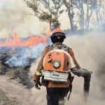Incêndios já causaram R$ 180 milhões de prejuízos ao setor sucroenergético no estado