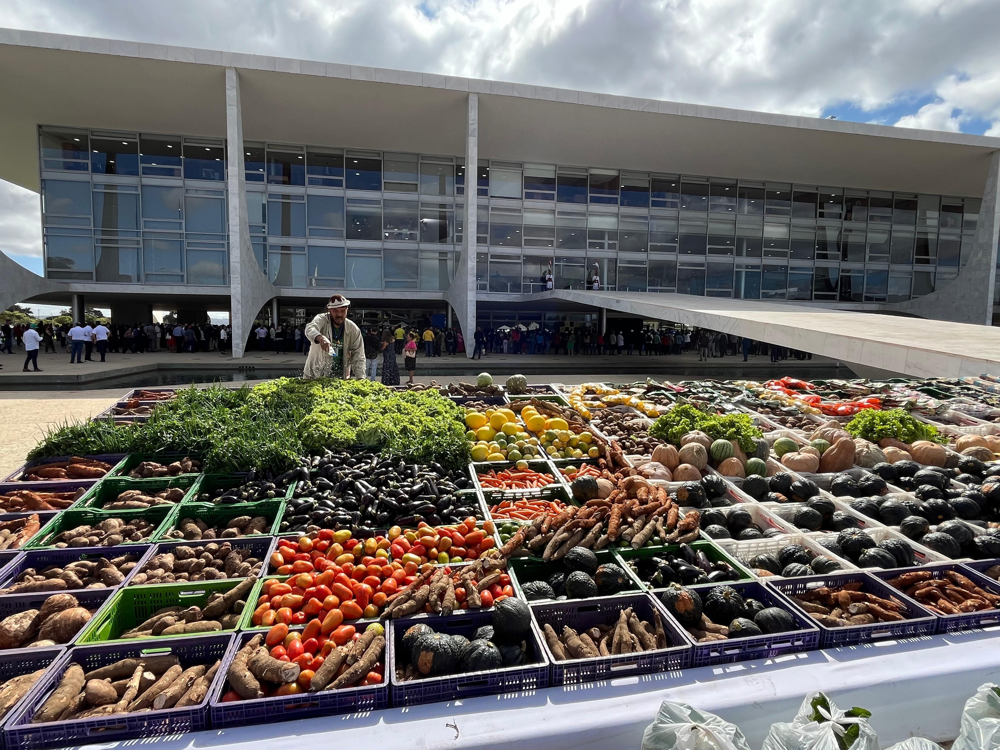 Novo Plano Safra destina R$ 525,1 bilhões ao crédito para o agronegócio