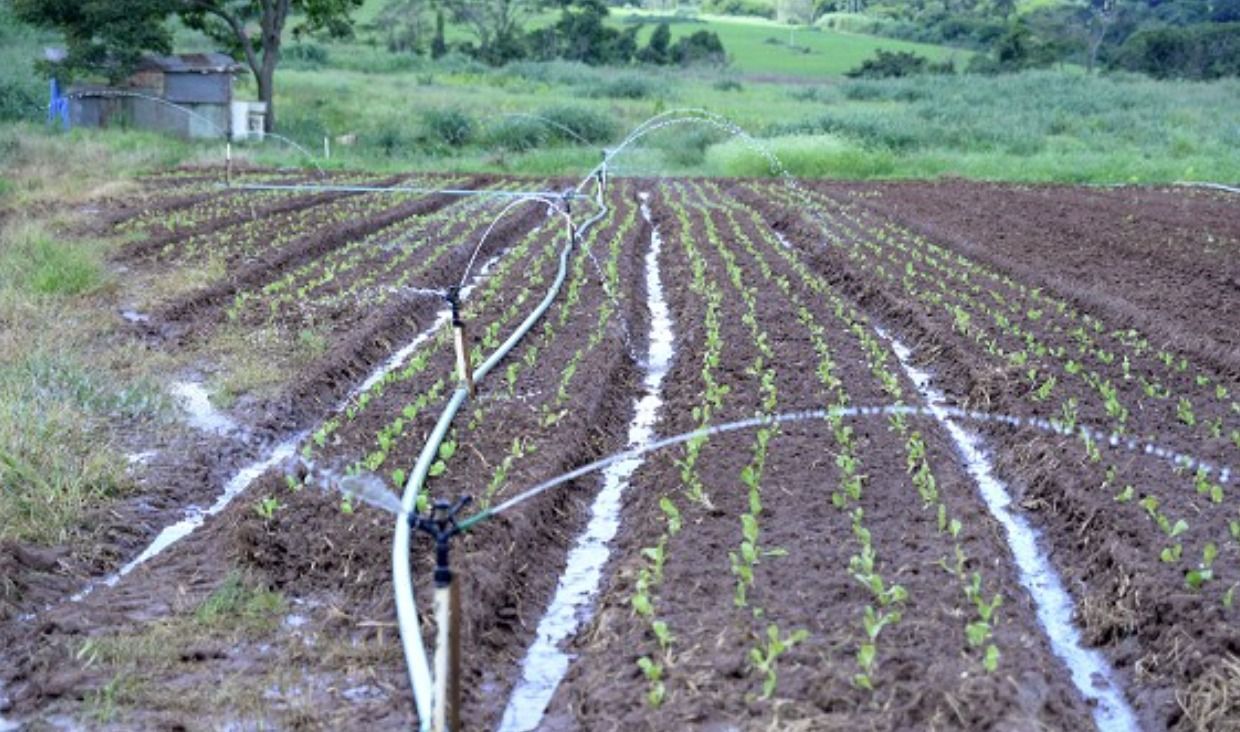 Projeto de irrigação aprovado na ALMG é apontado por deputados do agro como solução para produzir em áreas secas
