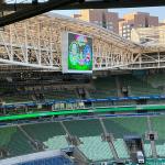 Palmeiras x Bahia: veja escalações para jogo no Brasileirão