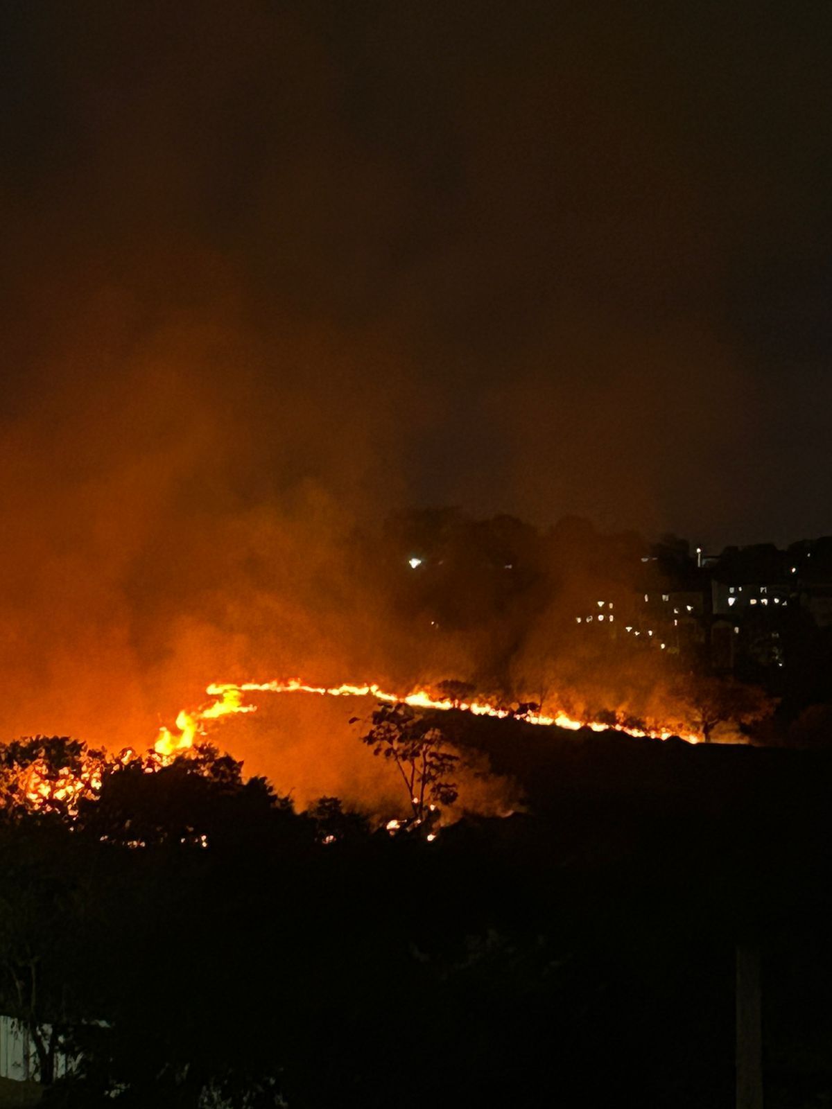 Vídeo: incêndio de grandes proporções atinge mata próxima a Via Expressa em BH