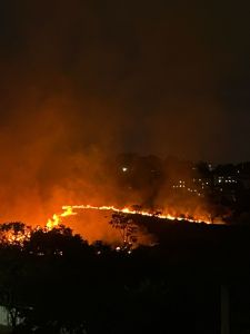 Incêndio Via Expressa COntag