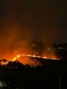 Incêndio Via Expressa COntag