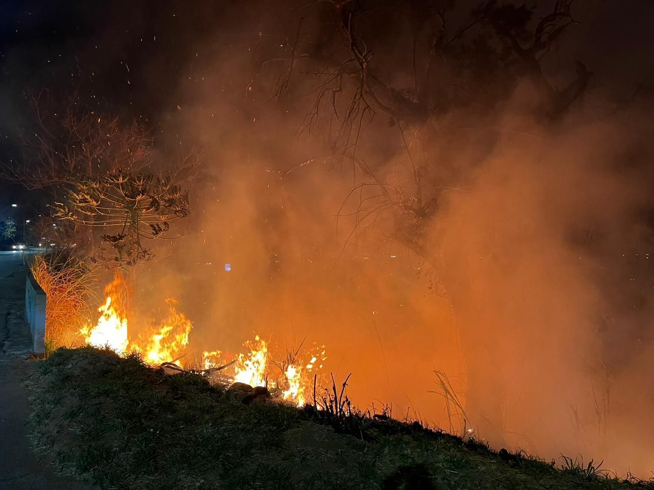 Incêndio atinge mata em frente ao Ponteio, no Belvedere