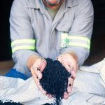 Zona da Mata vai exportar café sustentável para o Japão