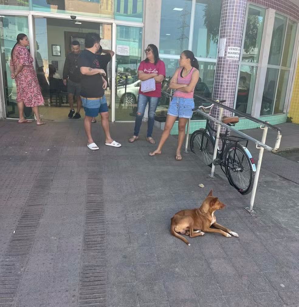 Cachorro fica 9 dias esperando pelo dono que morreu em unidade de saúde
