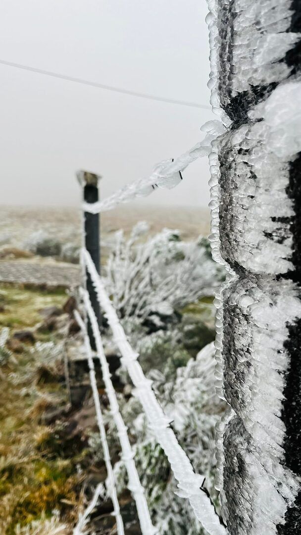 'Cidade mais fria do Brasil' registra neve e sensação térmica de -19°C; veja imagens impressionantes