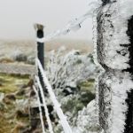 'Cidade mais fria do Brasil' registra neve e sensação térmica de -19°C; veja imagens impressionantes