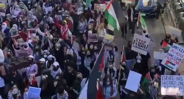 Mais de 55 manifestantes pró-palestina são presos em local próximo à Convenção Democrata nos EUA