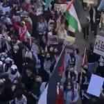 Mais de 55 manifestantes pró-palestina são presos em local próximo à Convenção Democrata nos EUA