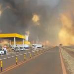 Trinta cidades de São Paulo estão em alerta máximo para grandes queimadas; veja quais