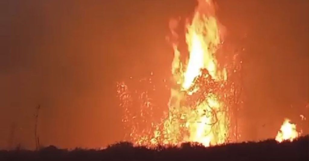 Idosa causa incêndio e destrói 8 hectares de vegetação em Patos de Minas