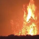 Seca e queimadas causam perdas à pecuária e agricultura de MG e podem inflacionar o etanol
