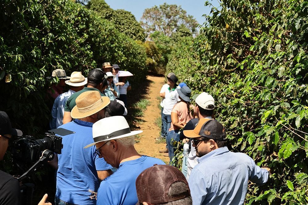 BDMG oferece curso gratuito e crédito para quiser investir em agricultura regenerativa