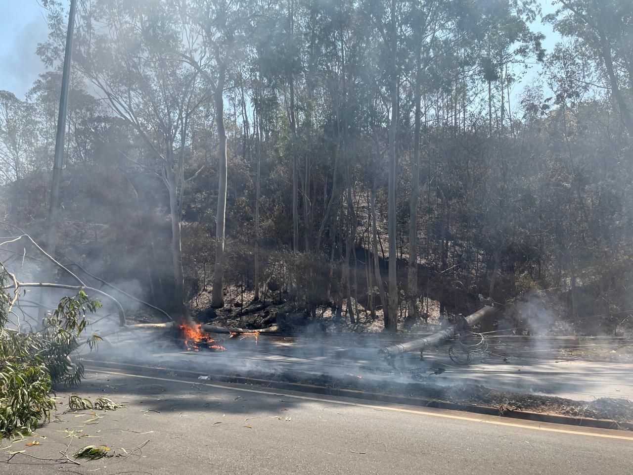 Vegetação volta a pegar fogo em Nova Lima, na Grande BH, e interrompe trânsito na MG-30