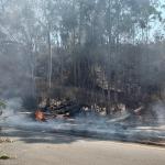 Fogo em MG: Bombeiros recebem quase mil chamados de incêndios florestais em 48 horas