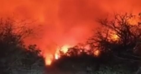 Fazendeiro brasileiro é suspeito de iniciar incêndio que atinge mais 70 mil hectares no Paraguai