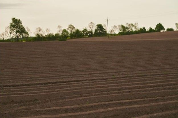 Tudo pronto para o plantio da safra, só falta água, e os preços sobem