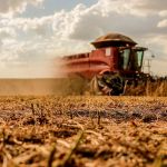 Empresa de insumos de Araxá conquista registro para produto feito à base de algas
