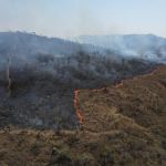 Incêndios: setor sucroenergético já soma R$ 180 milhões em perdas