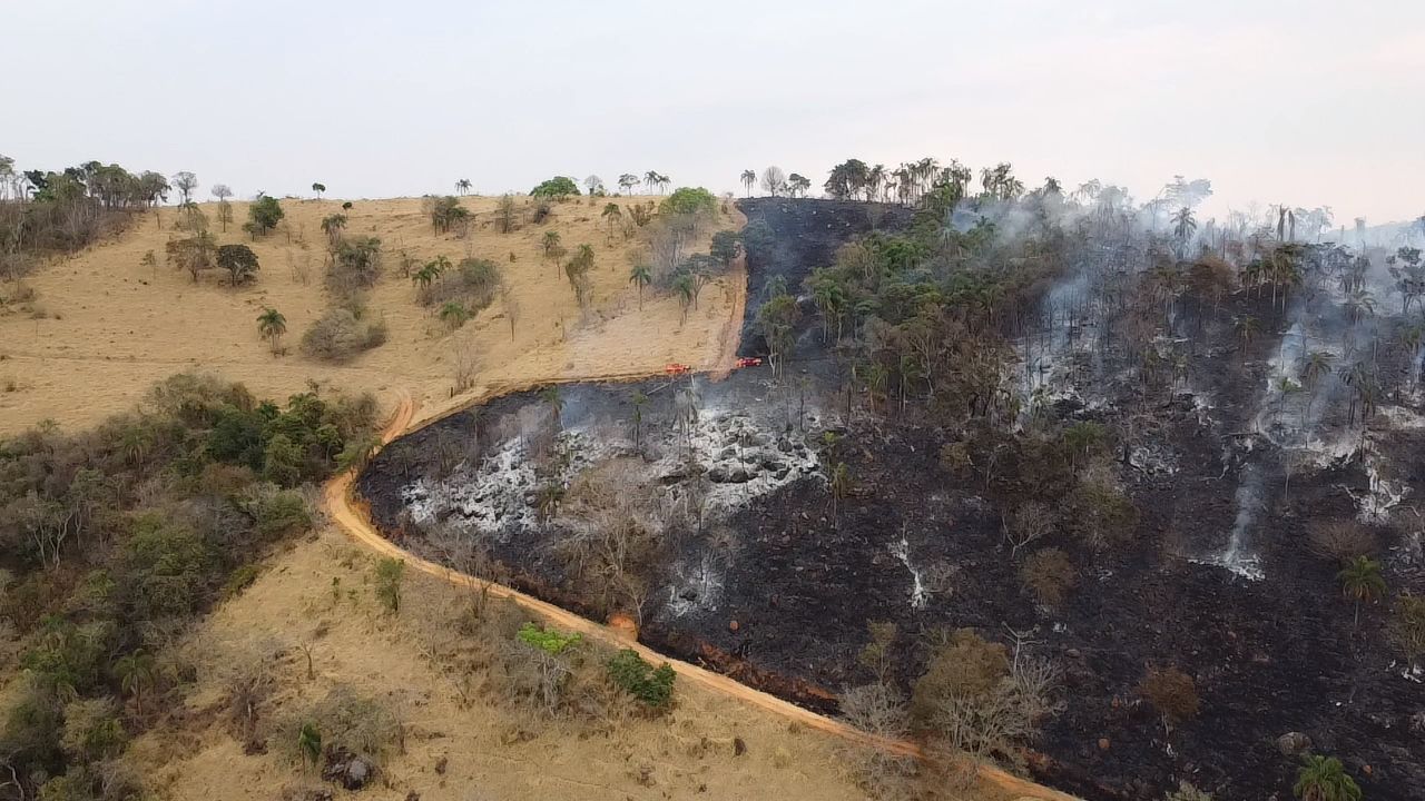 Minas Gerais passa a ser o estado mais afetado por focos de incêndio no Brasil