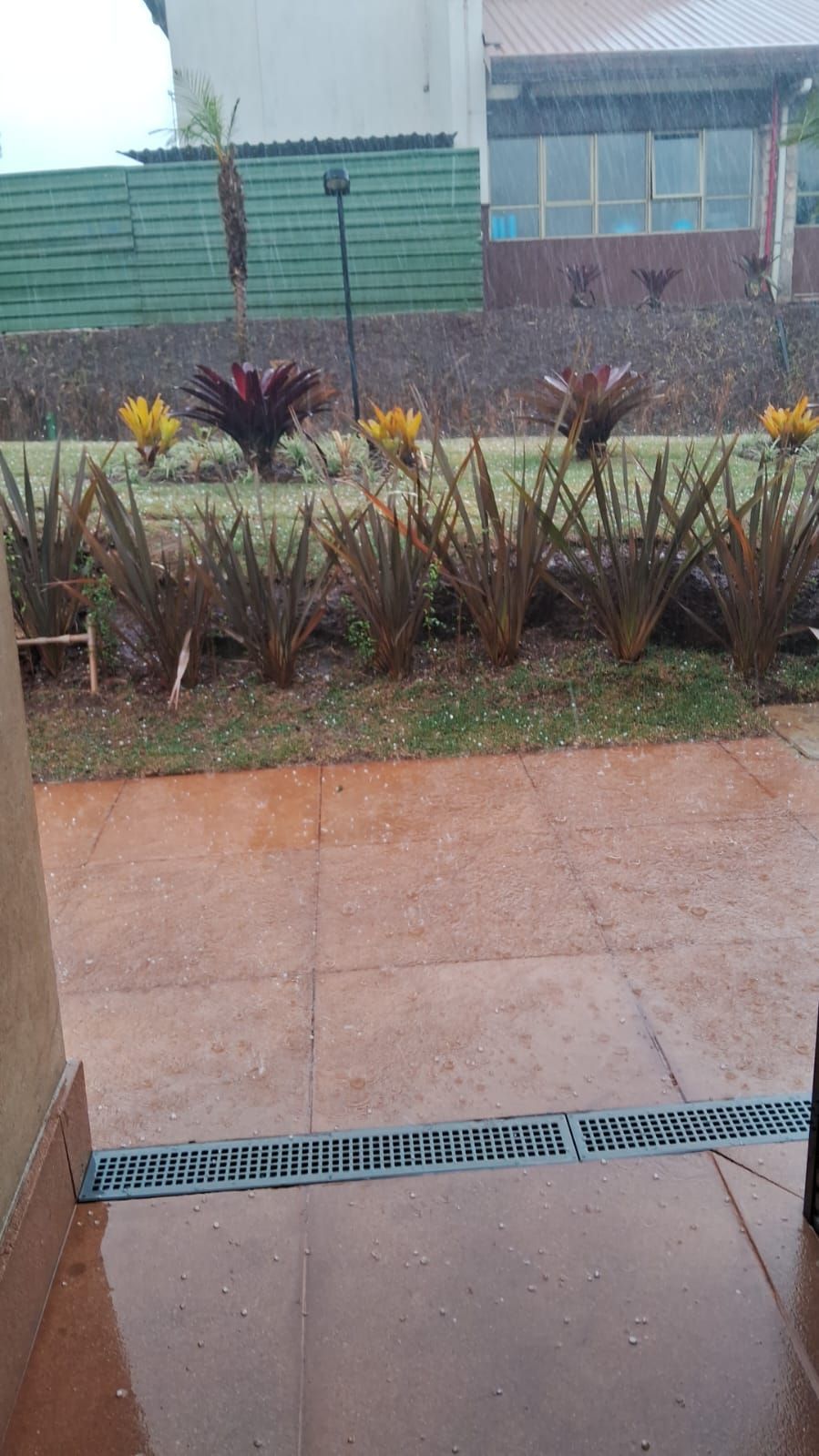 Após seca histórica, MG registra chuva de granizo neste sábado (21); veja imagens