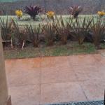 Após seca histórica, MG registra chuva de granizo neste sábado (21); veja imagens