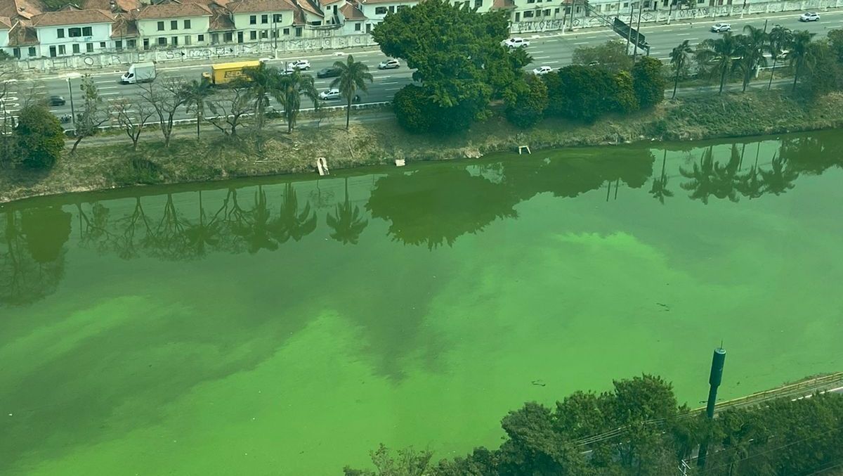 Rio Pinheiros, que corta a cidade de São Paulo, amanhece verde nesta segunda-feira (9)