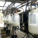 Concurso da Embrapa: confira as vagas para unidades na Zona da Mata (MG)