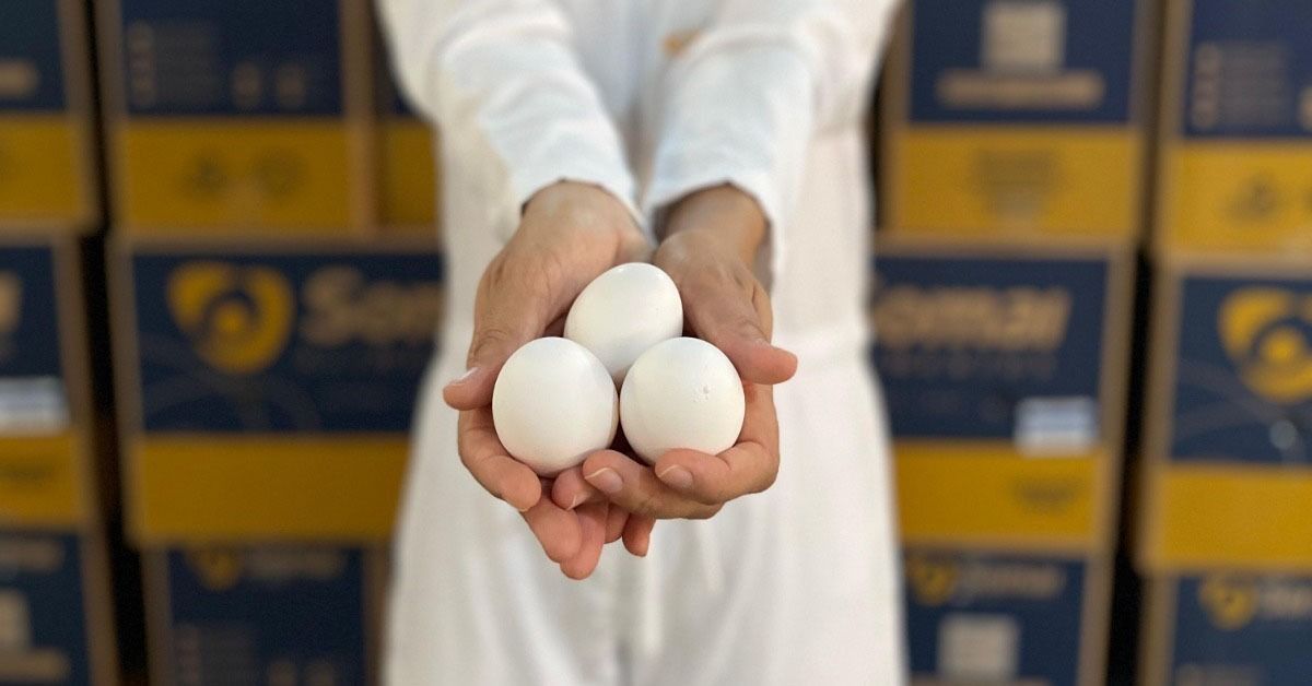 Quer aumentar a durabilidade de seus ovos? Evite guardá-los neste lugar