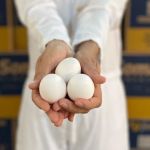 Quer aumentar a durabilidade de seus ovos? Evite guardá-los neste lugar