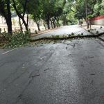 Chuva causa estragos em várias vias da capital neste final de semana