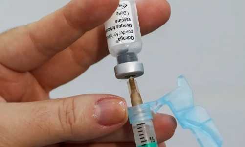 Dengue: STF, Câmara e Senado garantem reembolso para funcionários que se vacinarem contra doença em clínicas particulares | CNN Brasil