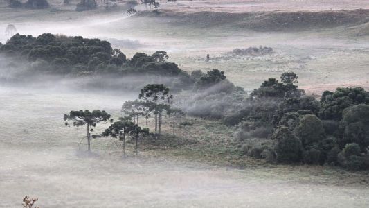 Onda de frio: cidade em SC registra temperatura de 0,1ºC | CNN Brasil
