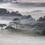 Previsão do Tempo: em meio a onda de frio, cidade em SC registra temperatura de 0,1ºC
